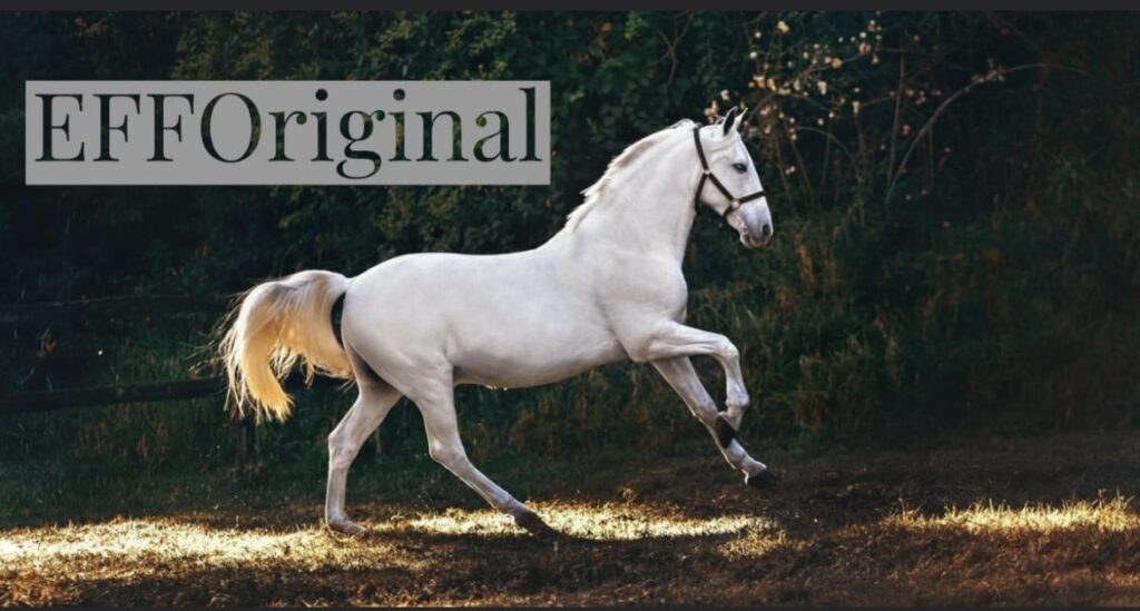 EFFOriginal Horse 